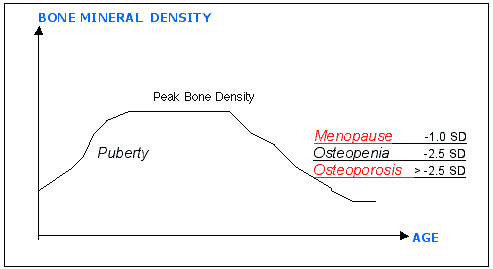 Bone Mineral Graph